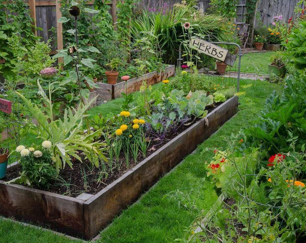 Herbal-Garden
